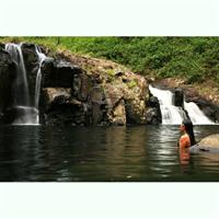 Glow-worms, Waterfalls &amp; Rainforest Experience