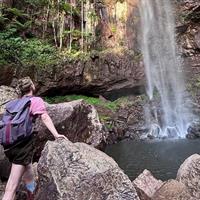 Glow Worms, Waterfalls &amp; Rainforest Experience