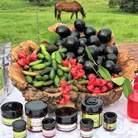 Adventure &amp;Taste Atherton Tablelands Food &amp; Wine Tour from Cairns