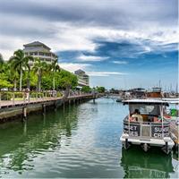 Cairns Combo: Cairns River Cruise &amp; Small group Cairns City Sights