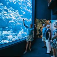 Cairns Aquarium by Twilight Tour