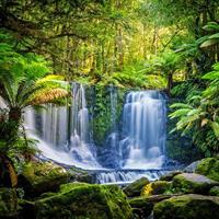 Day Tour in Mt. Field, Mt. Wellington, Bonorong Wildlife Sanctuary and Richmond