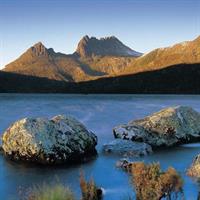 Cradle Mountain Day Tour from Launceston Including Lunch