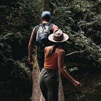 12 Apostles, Otways &amp; Great Ocean Road Day Tour - 8 person max