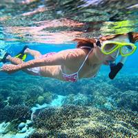 Abrolhos Islands Scenic Flight &amp; Snorkel Adventure from Perth
