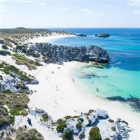 Discover Rottnest with Ferry &amp; Bus Tour