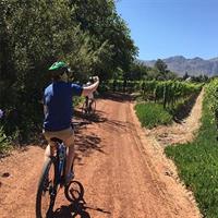 Franschhoek Cycle &amp; Tasting Experience 4hr (Shared)