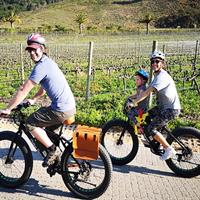 Franschhoek E-Bike Wine Tour (Half Day)