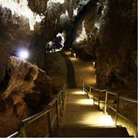 Cradle of Humankind Full Day Tour from Pretoria and Johannesburg