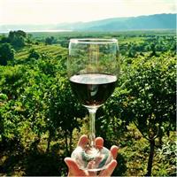 Castle &amp; Wine Tasting - Private Day Trip from Zagreb