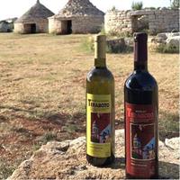 Divine Wine &amp; Olive Oil Tasting in Istria Full-day Tour