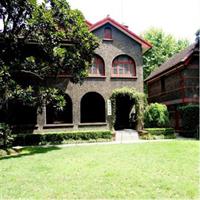 4-Hour Private Shanghai Walking Tour of Former French Concession