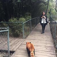 Flexible Chengdu Panda Base Day Tour with Private Guide and Transportation