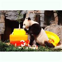 4-day tour of Jiuzhaigou Valley Scenic and Historic Interest Area