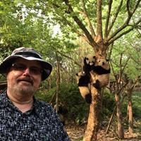 Chengdu Private Day Tour: Giant Panda Base and Qingcheng Mountain