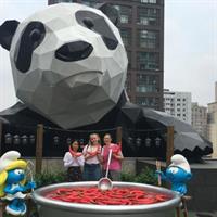 Chengdu Private Tour of Panda Experience
