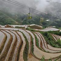 Longji Rice Terraces with the Dazhai Cable Car Private Day Tour