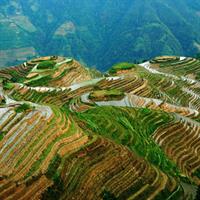 Longji Rice Terraces and Minority Village Private Trip from Guilin