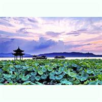 Half-Day Flexible Private Hangzhou Highlight Tour
