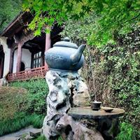 Half-Day Hangzhou Tea Culture and Hupao Spring Private Tour