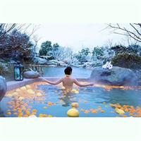 Xitang Water Town Private Tour from Hangzhou with Hot Spring Experience