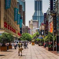 1-Day Private Tour to Shanghai Museum,Yu Garden,the Bund & Huangpu River Cruise