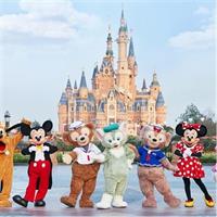 1 Day-Pass for Disneyland Shanghai and Private Transfer Package