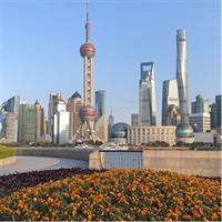 2.5-Hour Private Shanghai Bund Walking Tour including Local Dumpling Tasting