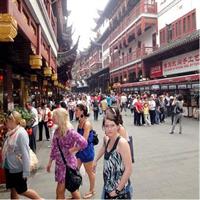 1-Day Private Shanghai City Tour to See Its Past, Present and Future