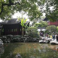 3-Hour Shanghai Yu Garden &amp;Old Town Private Tour with Tea Tasting