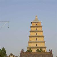 1-Day Xi'an City Highlights and Hanyangling Museum Private Tour