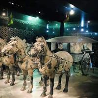 Economic Xi'an City 4-5h Walking Tour-Giant Wild Goose Pagoda&amp;The Bell Tower