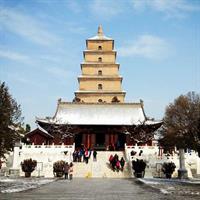 Half Day Private City Tour of Historical Xian