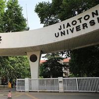 6-Person Xi'an Mini Group: Terracotta, Big Pagoda &amp; City Wall