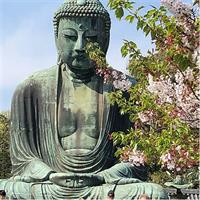 Historic Kamakura: Temples, Shrines and Street Food Private Walking Tour