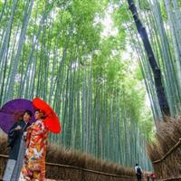 Arashiyama from Kyoto: Private &amp; Personalized with a Local Guide