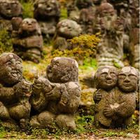 Arashiyama Bamboo Forest E-Biking Tour