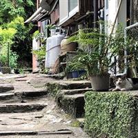 Taste Local Life: Nagasaki&#x27;s Historical Street Walking Tour