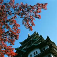 Private Full Day Nagoya Tour