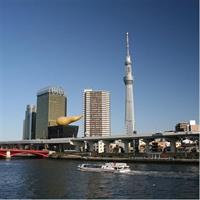 6-hour Tokyo tour with a qualified tour guide using public transport