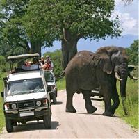 Amboseli National Park Guided Full Day Tour