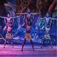 Barbecue Dinner &amp; Entertainment in Nairobi