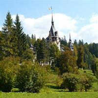Castles Private Tour Peles - Bran - Rasnov from Brasov