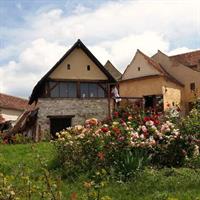 Castles Tours from Brasov
