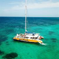 Aruba Afternoon Snorkel Sail aboard Palm Pleasure Catamaran