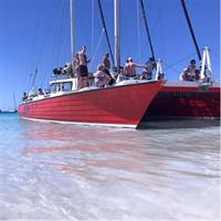 Barbados Catamaran Turtle and Shipwreck Snorkeling Cruise