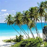 Barbados Full-day Coast to Coast Tour