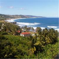 Barbados Sightseeing Plantation distillery tour, Lunch &amp; Drink