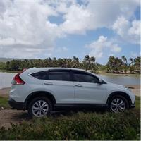 Barbados Amazing Full Day Private Rural Excursion