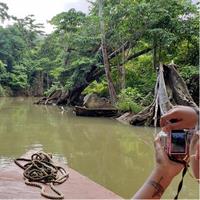 Indian River, Cold Soufriere &amp; Fort Shirley (Northern Excursion)